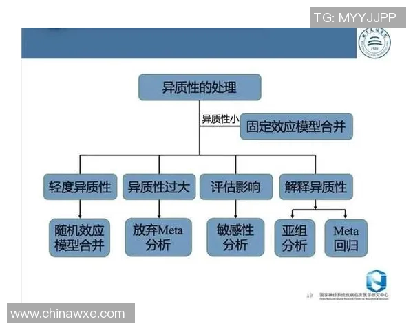 深圳排球队运营分析：成功经验与教训的深度剖析与反思