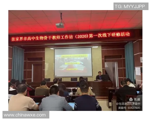 深圳乒乓球队灵活性分析与战术调整的深度探讨