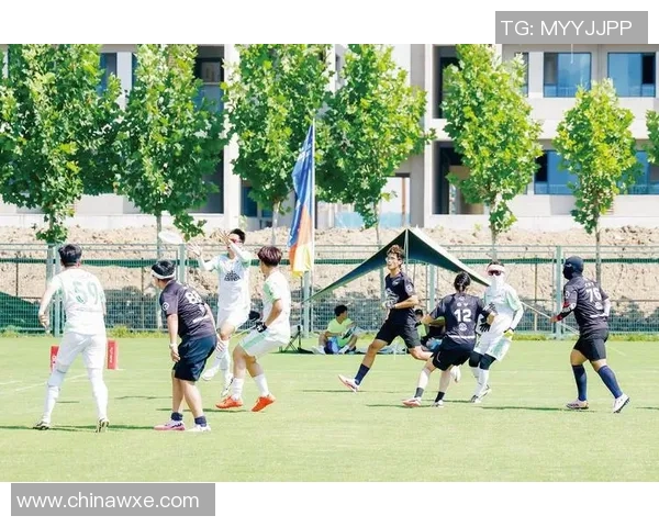 飞盘运动的魅力与挑战赵军分享他的飞盘生涯与成长故事