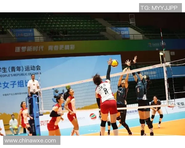 上海排球队在排球配合排行榜中荣登第九名展现强大实力与团队默契