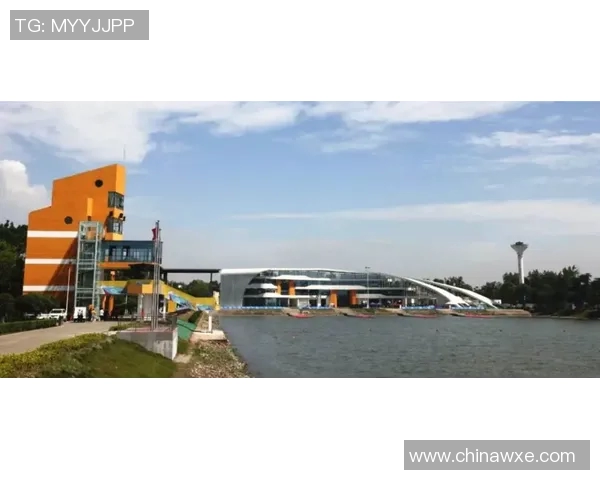 成都乒乓球队在世界锦标赛积分榜中以99分稳居第一名引发关注