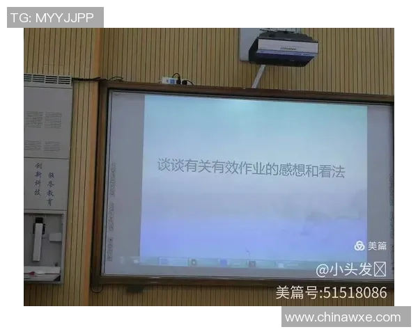 成都排球队运营分析：成功经验与不足之处的深度探讨