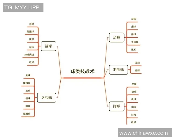 深入分析北京排球队的整体压制战术及其在比赛中的应用效果