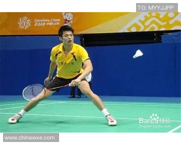 武汉羽毛球队区域防守分析与战术调整探讨