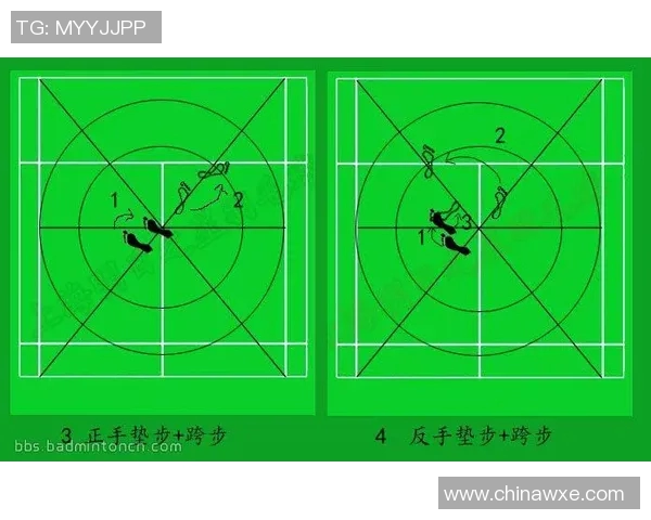 西安羽毛球队反击战术深度分析与实战应用探讨