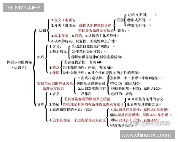 王少杰：从平凡到卓越的奋斗历程与人生哲学探索