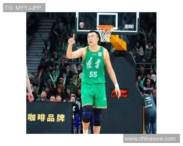 韩德君：从篮球新星到CBA传奇的成长之路与辉煌成就解析