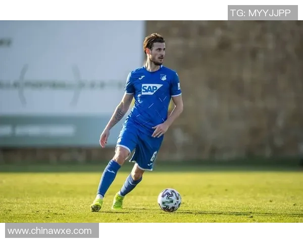 科隆主场迎战霍芬海姆双方争夺宝贵积分的激烈对决