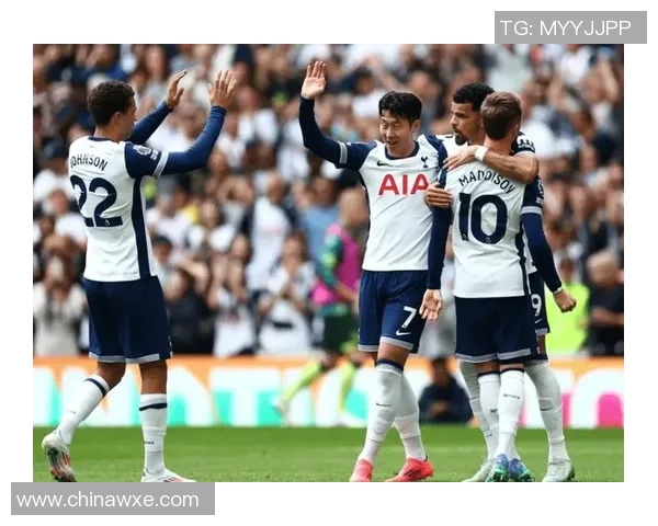 维岗与布伦特2019年对决分析及其对市场的影响探讨