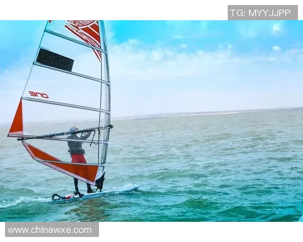 东南锦菲律宾对阵新加坡的精彩赛事分析与前瞻展望