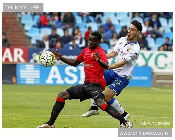 墨尔本骑士与布林狮子的激烈对决揭示澳超联赛新格局