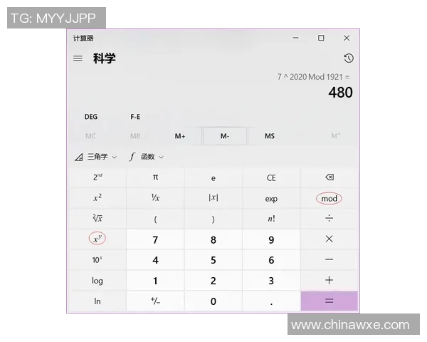 意大利与波兰比赛盘口分析及投注建议详解