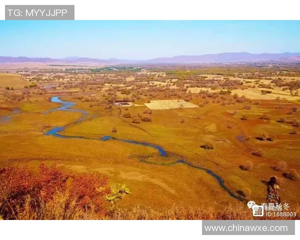 山神山行与岐路交汇的神秘探寻之旅