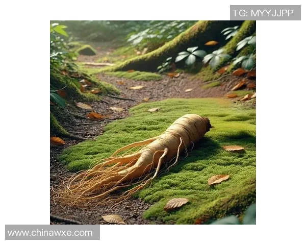 太阳神与安阳人参的较量：自然力量与神秘药材的巅峰对决