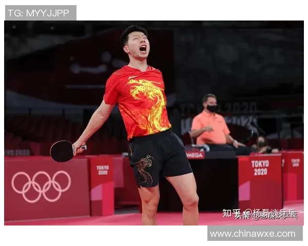 广州乒乓球队战术解析与对比分析的深度探讨与启示 广州乒乓球队战术解析与对比分析的深度探讨与启示