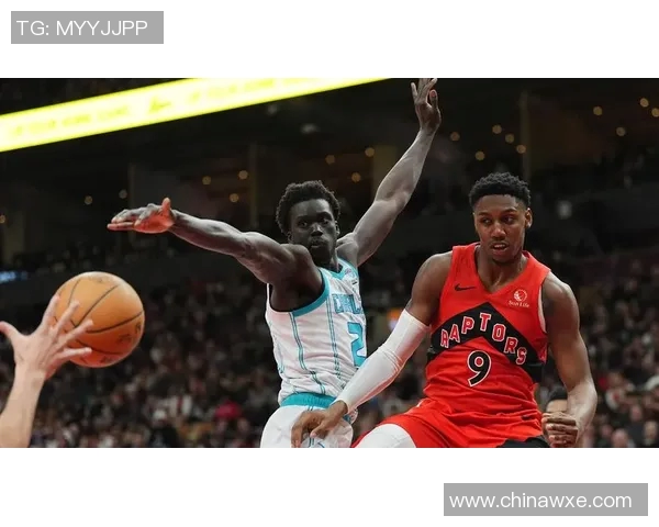 猛龙与黄蜂常规赛对决精彩回顾与赛后分析展望未来表现