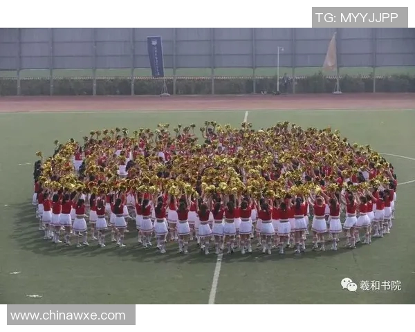 芬兰与意大利激战正酣比赛结果揭晓精彩瞬间回顾