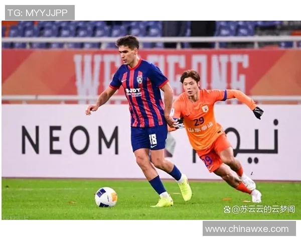 深圳排球队逆袭之路：世锦赛背后的奋斗与荣耀